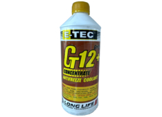 Gt12+ E-TEC ყვითელი